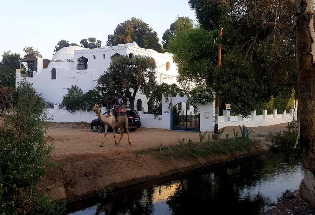 NUBIAN HOLIDAY HOUSE 